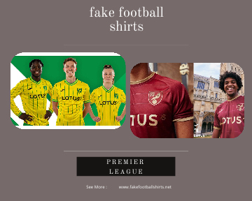 fake Norwich City football shirts 23-24